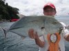 Bluefin Trevally on plastic